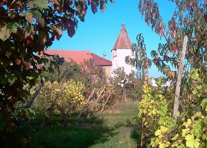 Les De La Tour, 